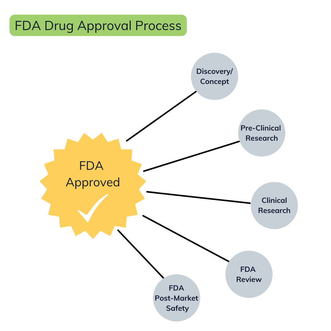 FDA Drug Approval Process