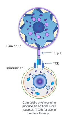 Intext Image2_Cell-gene-therapy-and-viral-vectors _EDL_(2021-4-28)