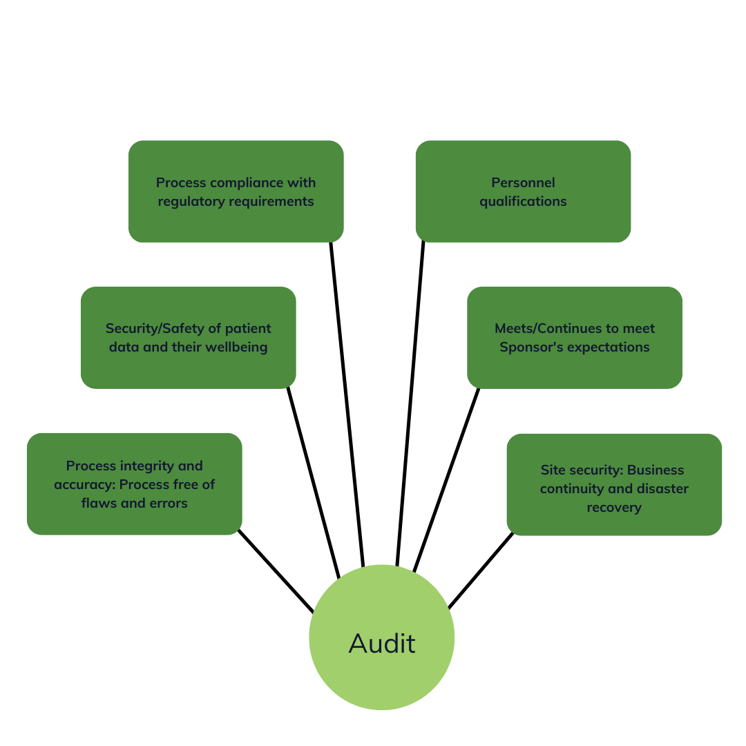 Why Sponsors Audit Vendors: Process compliance with regulatory requirements, Security/safety of patient data and their wellbeing, process integrity and accuracy: Process free of flaws and errors, Personnel qualifications, Meets/continues to meet Sponsor's qualifications, Site security: Business continuity and disaster recovery
