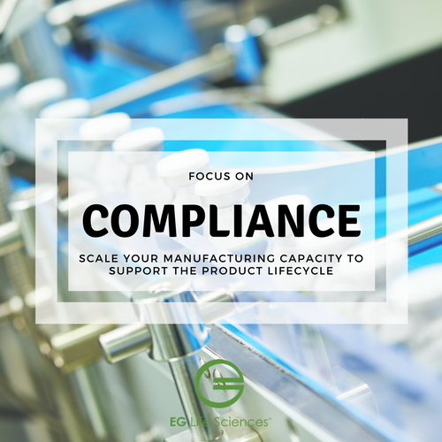 Focus-on-Compliance-1