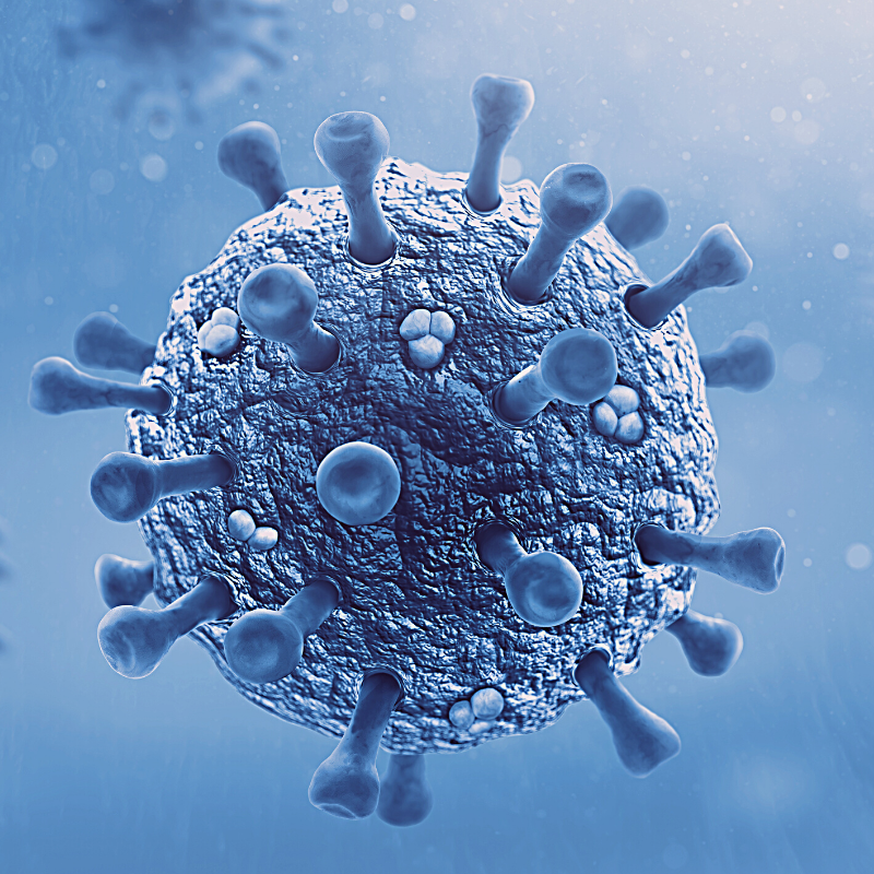 Blue virus viral vectors